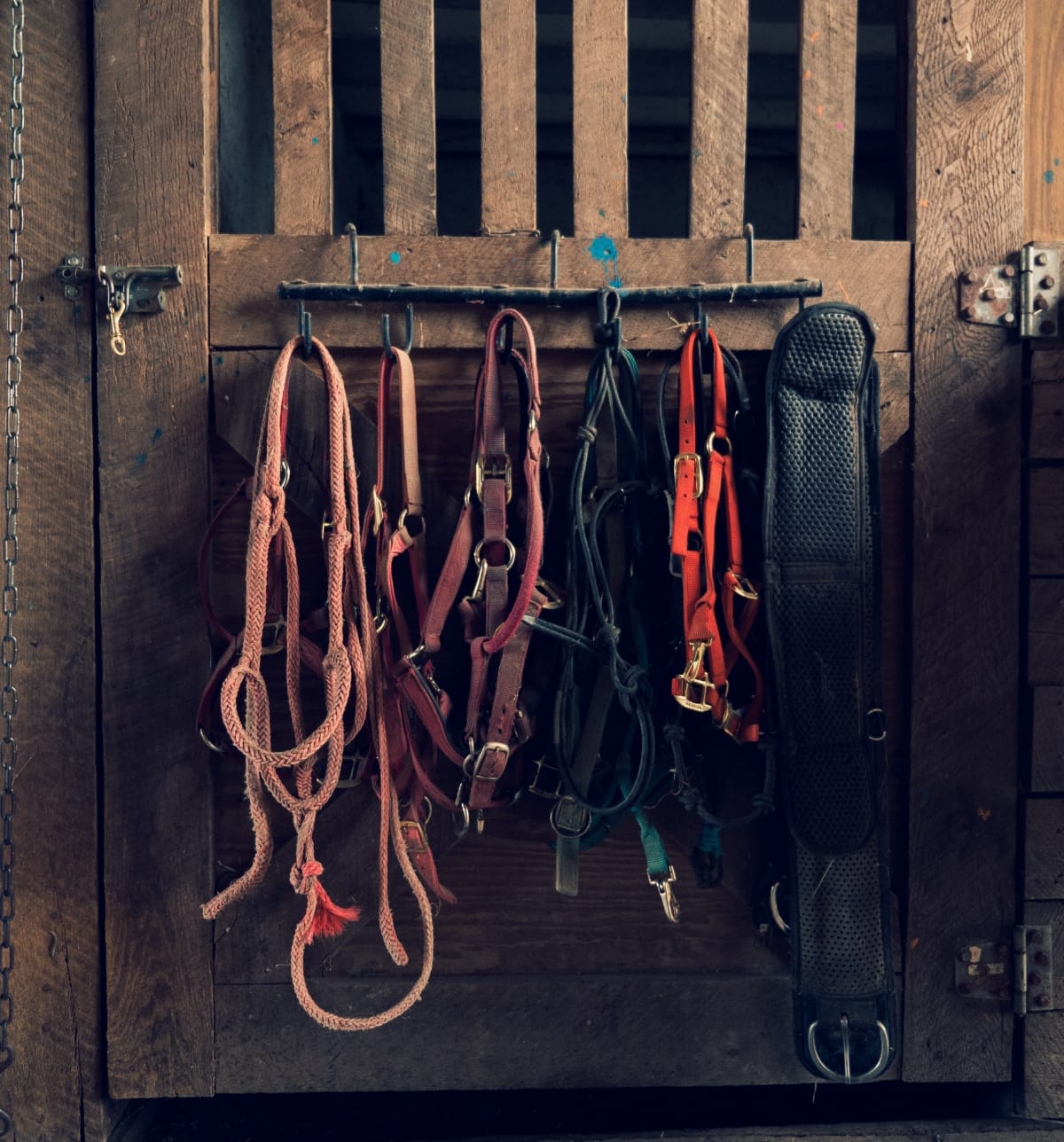 Custom Door
