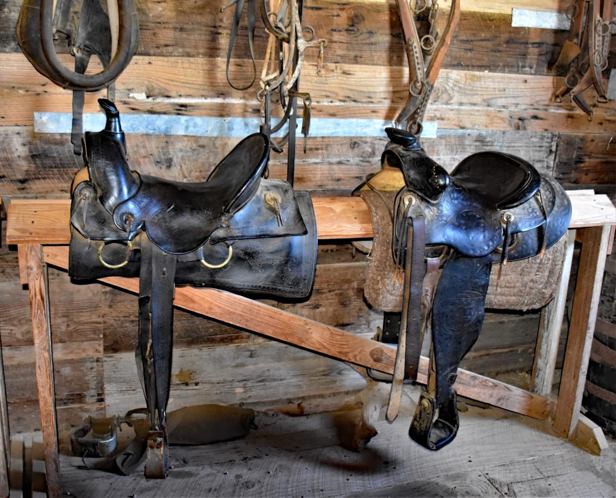 Horse Saddles